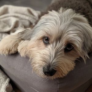 Meet your Posher, Randy